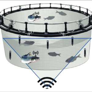 Flexible plastic cages- Open Sea Aquaculture Fish Cages