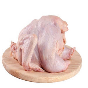 High Quality Brazil Frozen Chicken Whole Chicken /Whole and Frozen Chicken Thigh