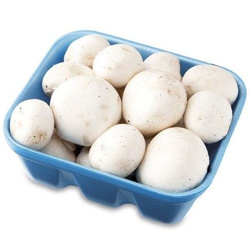 best price 100% White Mushrooms freshly cultivated