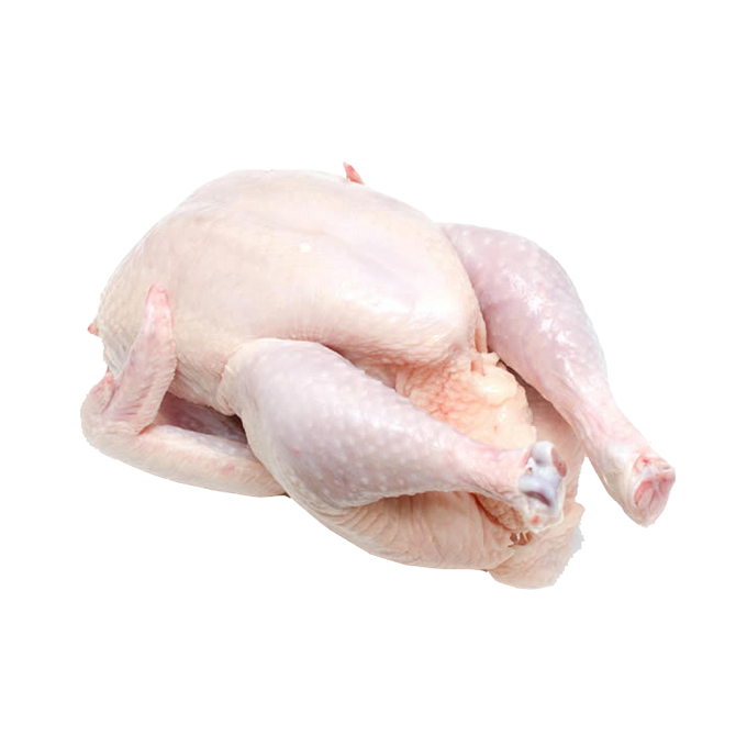 High Quality Brazil Frozen Chicken Whole Chicken /Whole and Frozen Chicken Thigh