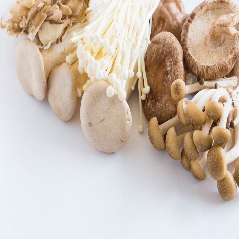 best price 100% White Mushrooms freshly cultivated