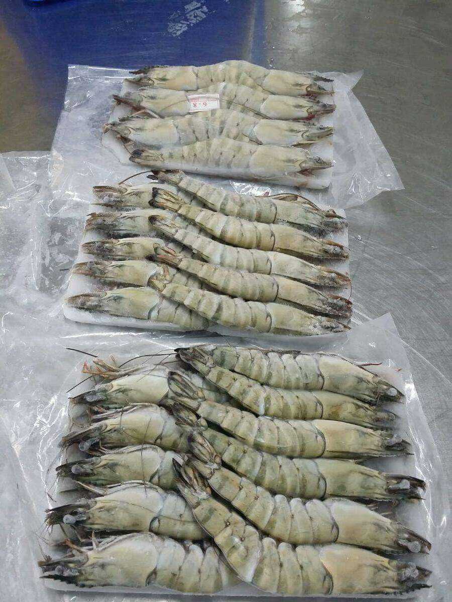 Frozen Black Tiger Shrimps Wholesale Raw PD Black Tiger Prawn, Fresh Seafood High quality Peeled Shrimp Black Tiger Shrimps