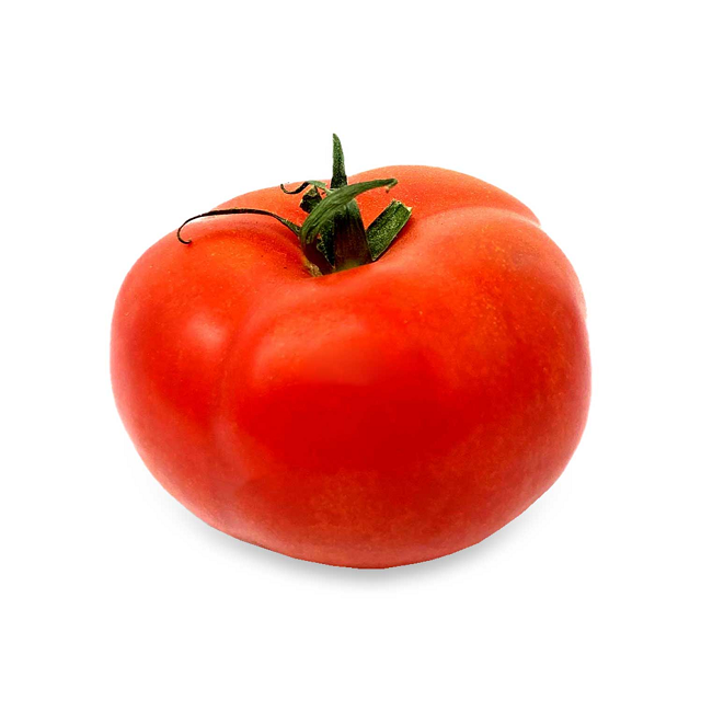 Low price Fresh Beef Tomato, Cherry Tomato, Fresh Plum Tomatoes for Sale