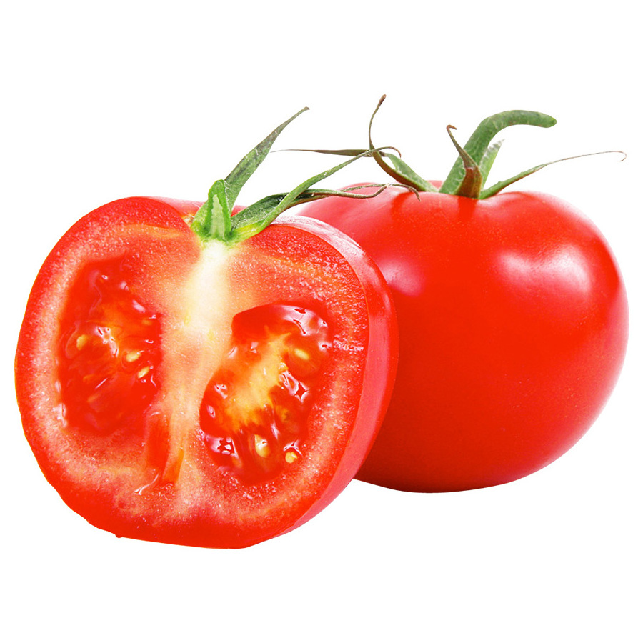 High Quality Cheap Wholesale Price Organic Fresh Vegetables Tomatoes For sale