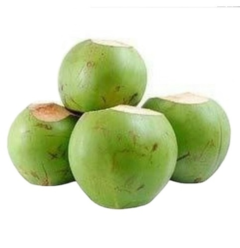 YOUNG COCONUT COCONUT FRUIT FRESH COCONUT FROZEN DRIED POWDER WHOLESALE CHEAPEST PRICE