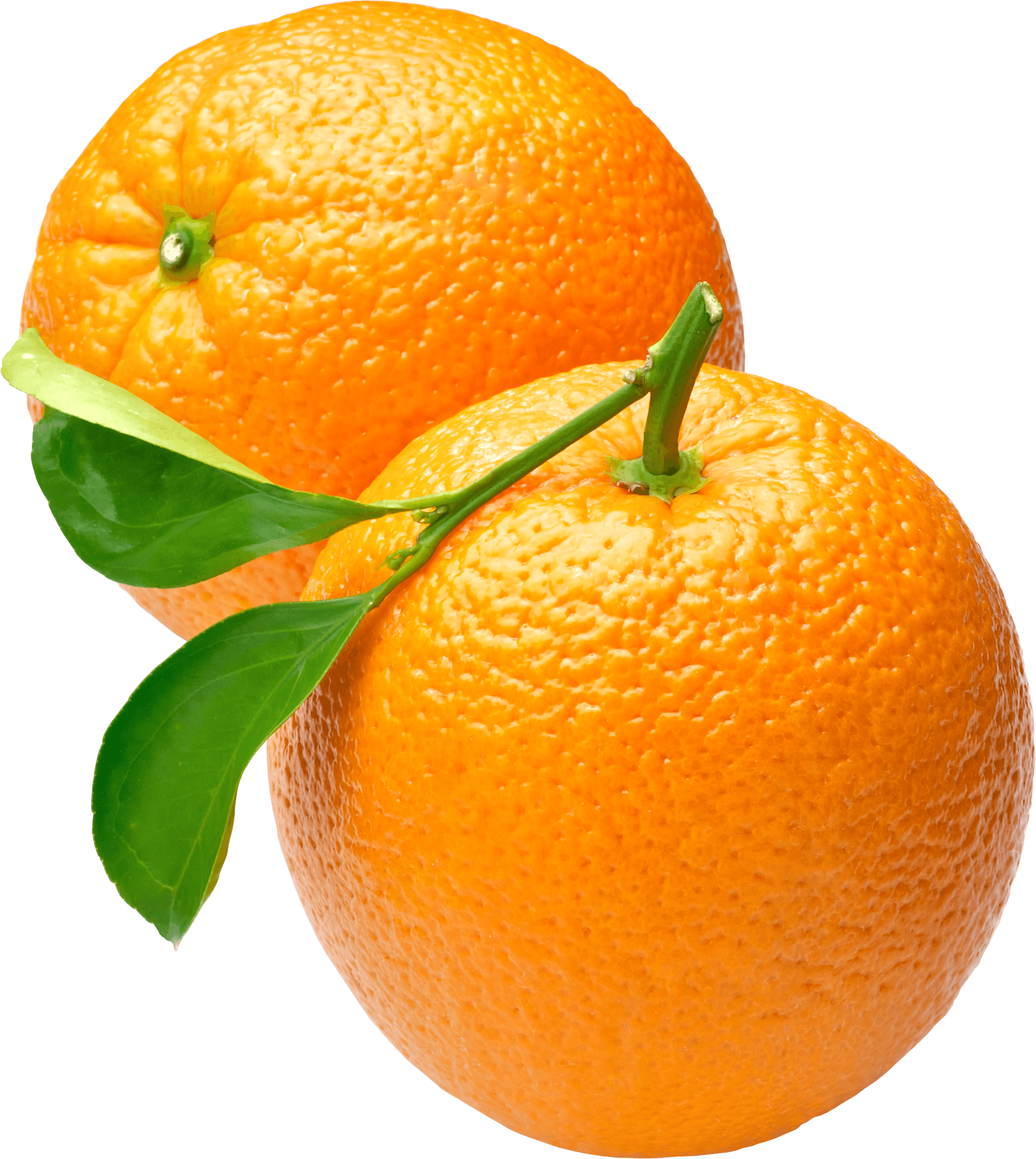 Best grade Quality Fresh Navel Oranges Fresh oranges Valencia and Navel Fresh Orange for export