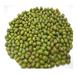 Best Grade Green Mung Beans/Grains/Green Beans available for wholesale