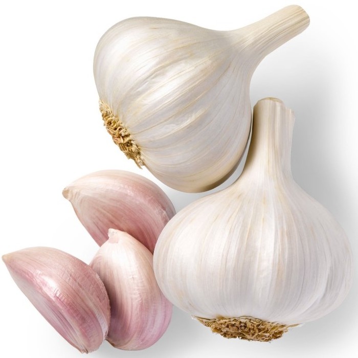 PURE WHITE FRESH GARLIC FRESH GARLIC