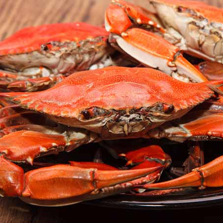 Best Quality Fresh Live Red King Crab King Crab Alaskan King Crab/Buy Russian King Crab/Hot sales King Crab Legs