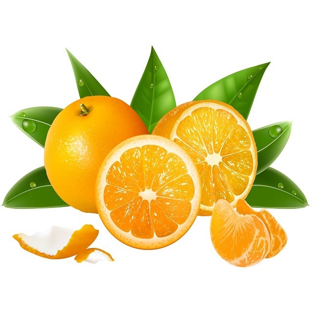 Wholesale Price Fresh Navel Orange South Africa Navel Orange For Sale