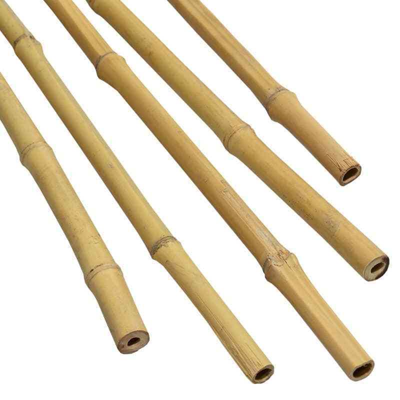 Wholesale Top quality Bamboo poles available/ Factory and Natural Bamboo Poles for sale at cheap price