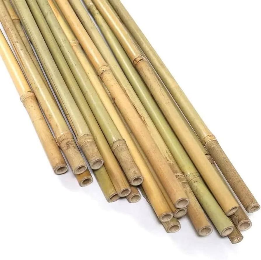 Wholesale Top quality Bamboo poles available/ Factory and Natural Bamboo Poles for sale at cheap price