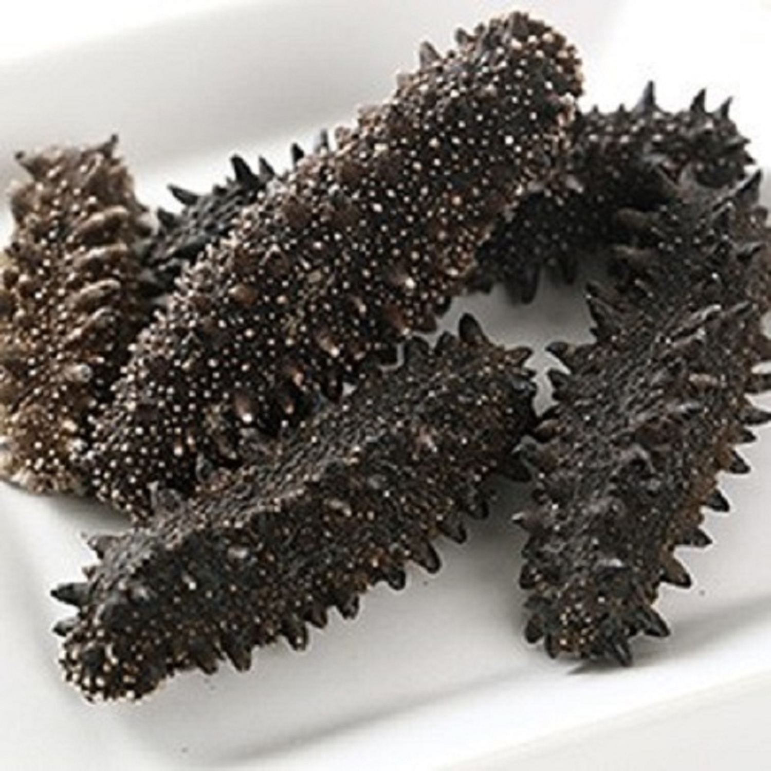 Wholesale Cheap Price Dried Sea Cucumber/Dried Sea Cucumber