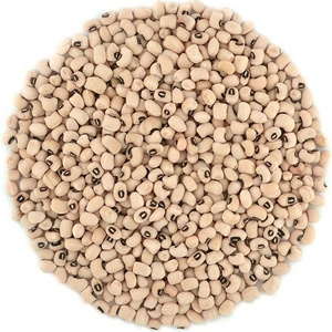 Wholesale Black Eyed Beans Cow pea Beans Grains for export sales