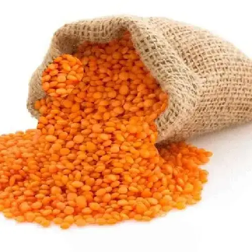 Canadian Red Lentils / Split Red Lentils Available For Sale At Low Price Fresh Red Lentil for Europe Bulk