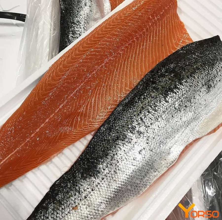 Salmon Fish Frozen Fillet Fresh And Frozen Atlantic Salmon Fish/Whole Frozen Salmon/Salmon Head For Sale