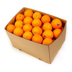 Wholesale Price Fresh Navel Orange South Africa Navel Orange For Sale