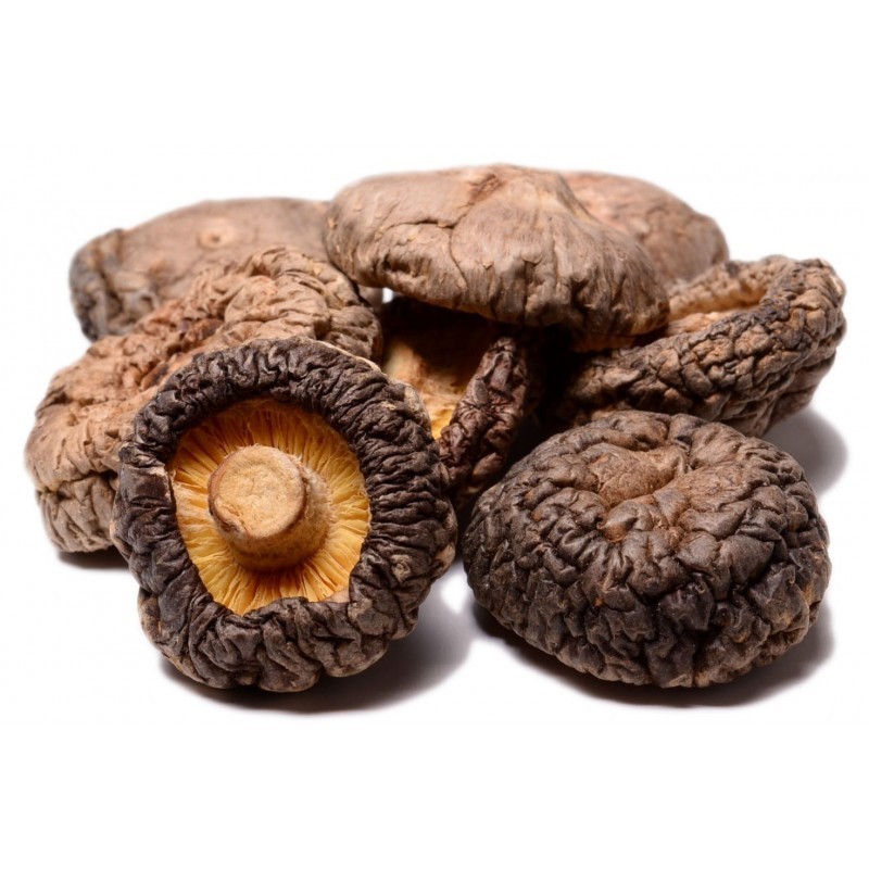 Bulk Dried Shitake Mushroom Chips Mushroom Stipe Feet 3-4cm Dried Shiitake Mushroom Now Available