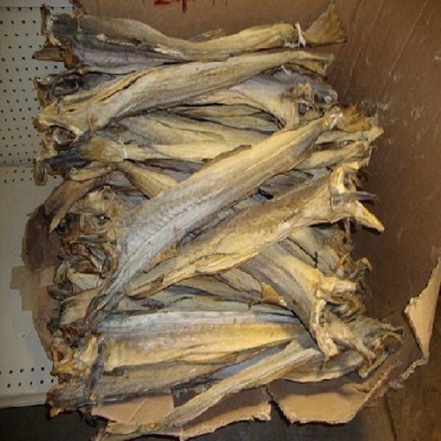 HIGH QUALITY low price Dry Stock Fish / Dry Stock Fish Head / dried salted cod Dry Stockfish