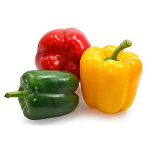 Quality Grade 100% Fresh & Natural Color Capsicum / Bell Pepper Fresh Exotic Vegetables for sale.