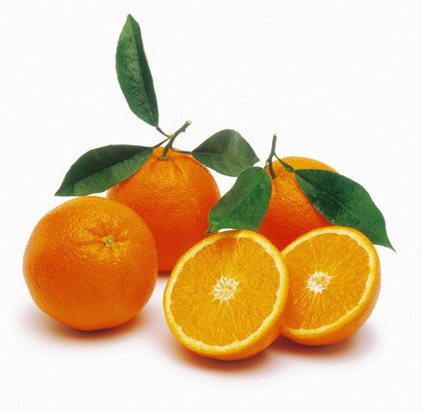 Best grade Quality Fresh Navel Oranges Fresh oranges Valencia and Navel Fresh Orange for export