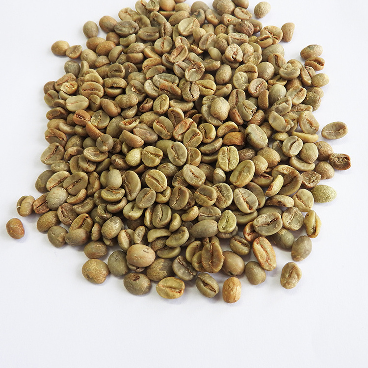 Wholesale Worldwide Shipping 98% Maturity Natural Robusta Green Coffee Beans From Vietnam With Best Price