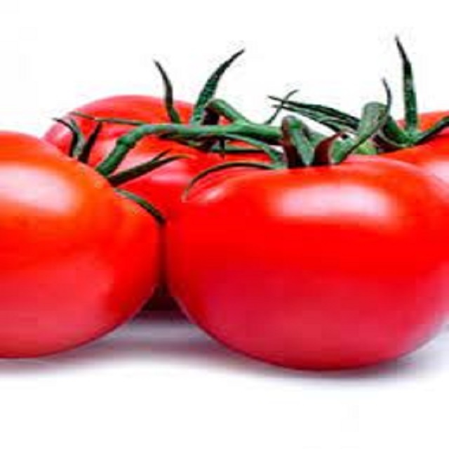 Low price Fresh Beef Tomato, Cherry Tomato, Fresh Plum Tomatoes for Sale