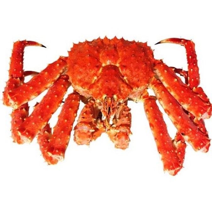 Best Quality Fresh Live Red King Crab King Crab Alaskan King Crab/Buy Russian King Crab/Hot sales King Crab Legs