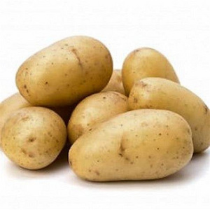 Fresh Golden Yellow Potatoes ,Organic Fresh Potatoes High Quality White potato