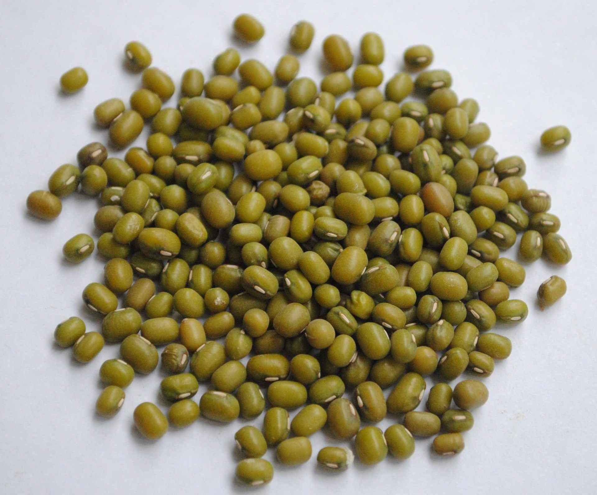 Best Grade Green Mung Beans/Grains/Green Beans available for wholesale