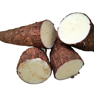 Dried Cassava /Raw Dry Cassava with Exportation quality and Competitive price from AUSTRIA