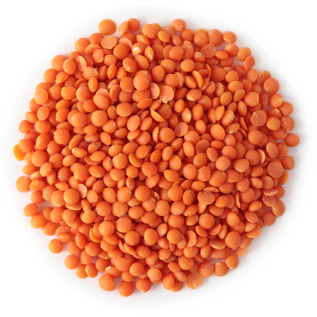 Canadian Red Lentils / Split Red Lentils Available For Sale At Low Price Fresh Red Lentil for Europe Bulk