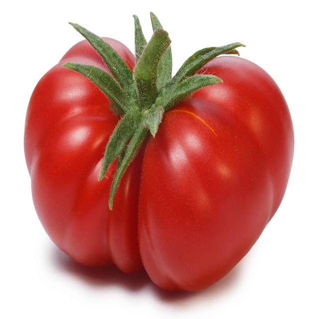 Low price Fresh Beef Tomato, Cherry Tomato, Fresh Plum Tomatoes for Sale