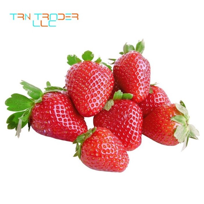 Top Grade Strawberries Fresh Fruit High Quality 100% Best Selling Fresh Strawberry Fruit at Cheap Price