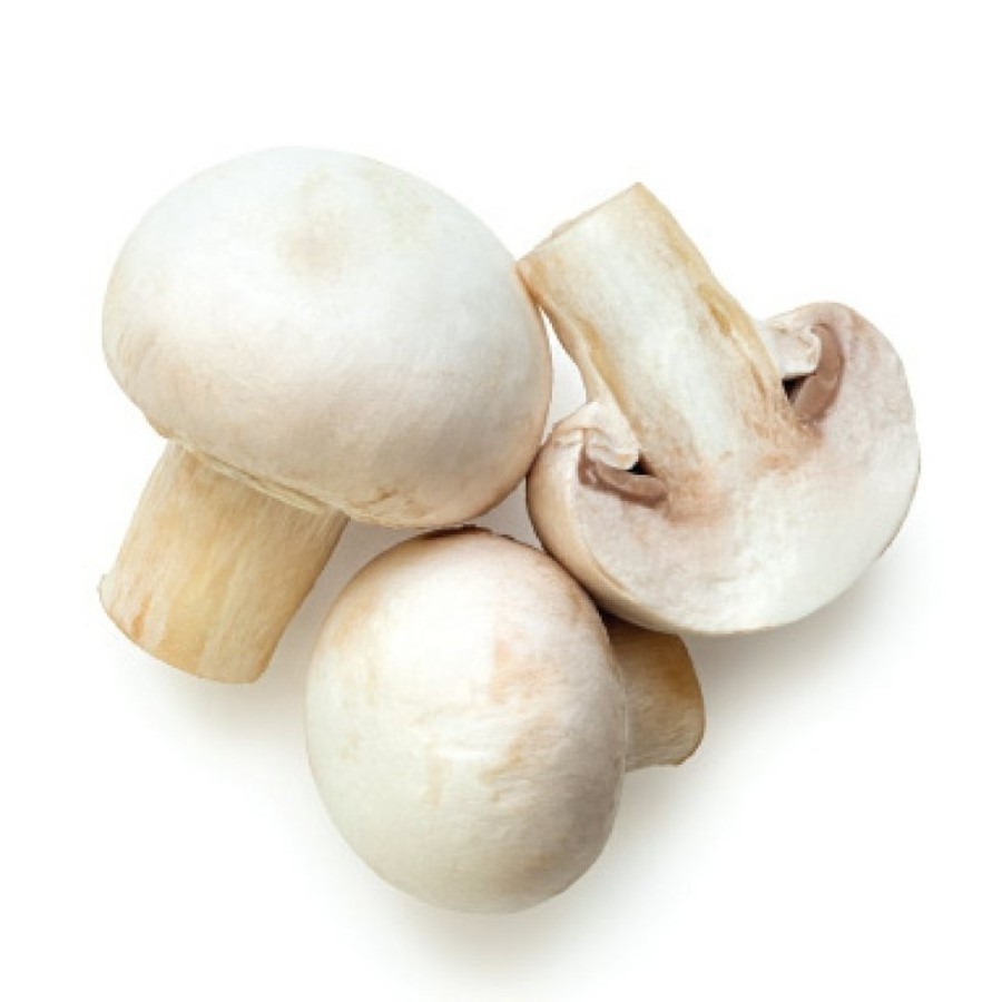 Factory direct sale fresh oyster mushroom healthy fresh mushroom wholesale oyster mushroom