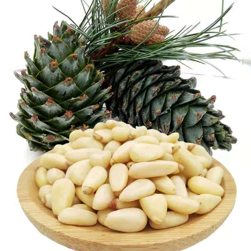 Bulk Pine Nuts 10 Pound Box Wholesale Suppliers / Top Grade Pine Nuts Available for Export