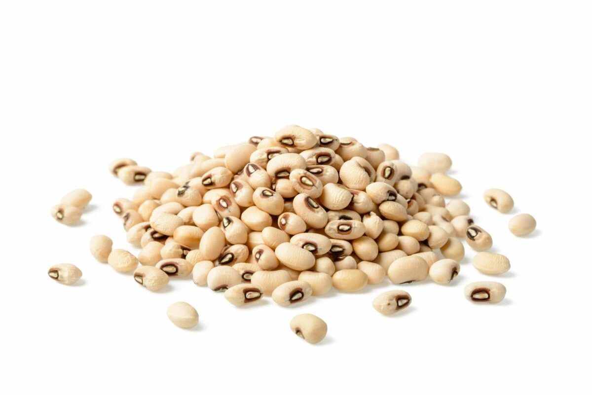 Wholesale Black Eyed Beans Cow pea Beans Grains for export sales