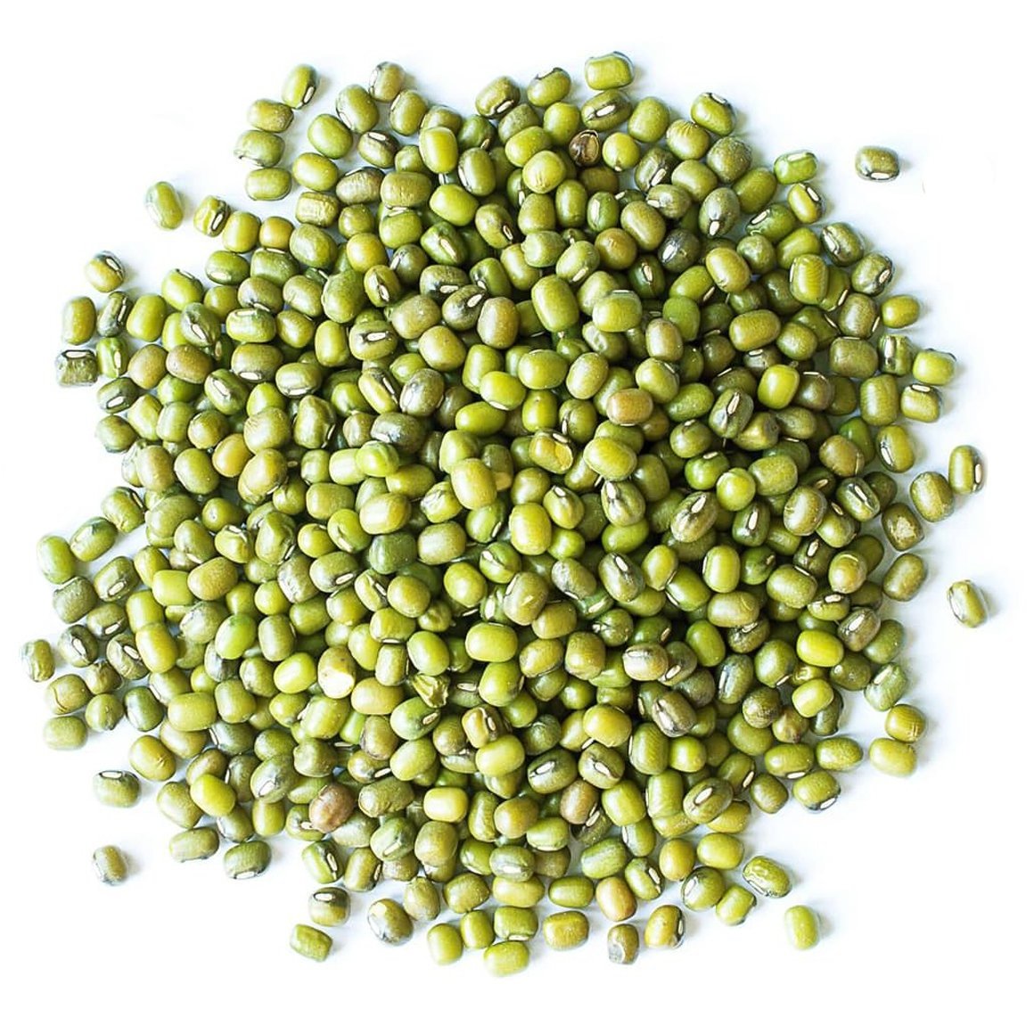 Best Grade Green Mung Beans/Grains/Green Beans available for wholesale