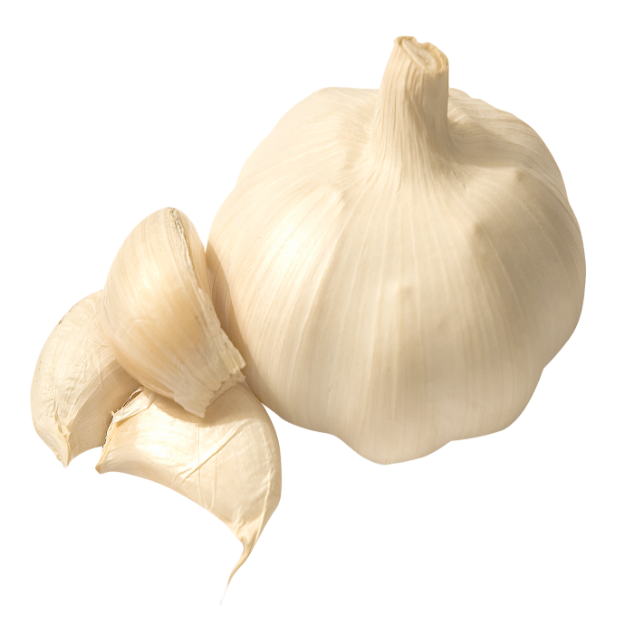 PURE WHITE FRESH GARLIC FRESH GARLIC