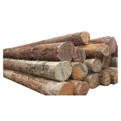 Wholesale Custom Teak Wood Logs Pine and Red hard wood Hot Sales eucalyptus wood log with cheap price for World market