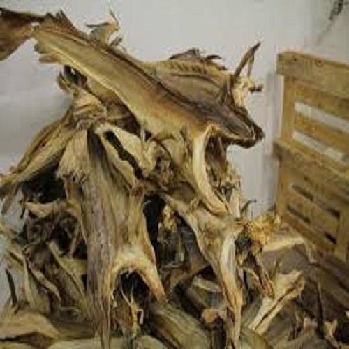 HIGH QUALITY low price Dry Stock Fish / Dry Stock Fish Head / dried salted cod Dry Stockfish