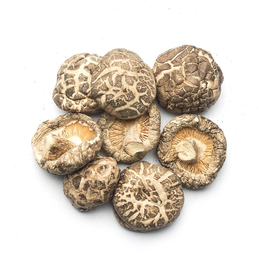 Best Grade Fresh Natural Sliced Nutritional Supplement Mushroom for Cooking Flower Mushroom Black Fungus