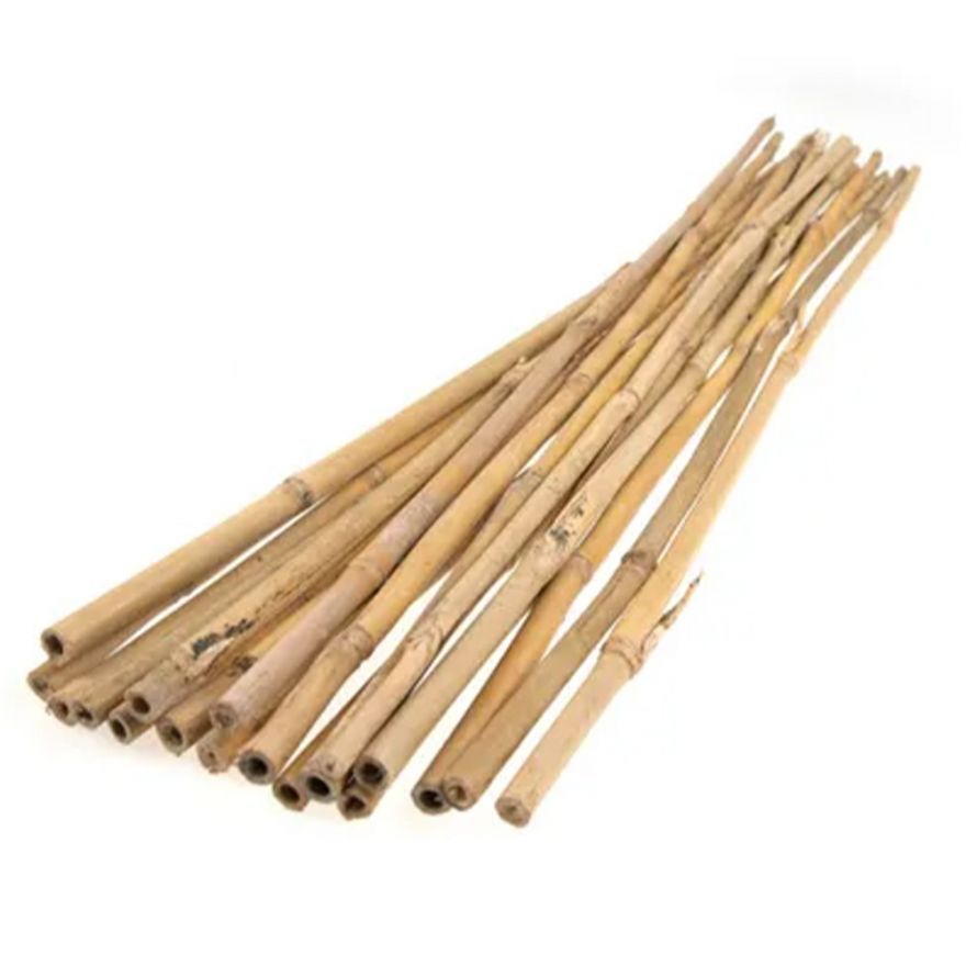 Wholesale Top quality Bamboo poles available/ Factory and Natural Bamboo Poles for sale at cheap price