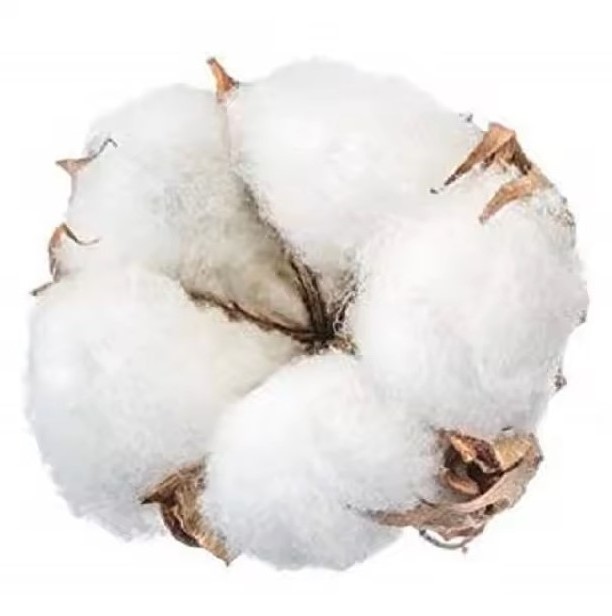 Wholesales raw Cotton linter Exporter 100% Pure Organic Raw Cotton Cheap Price Raw Cotton Linter