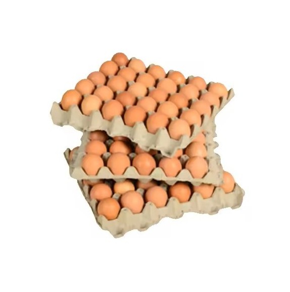 Quality fertilized Fresh Brown Table Chicken Eggs Cheap Fresh Chicken Table Eggs Fresh Chicken eggs for sale in Bulk