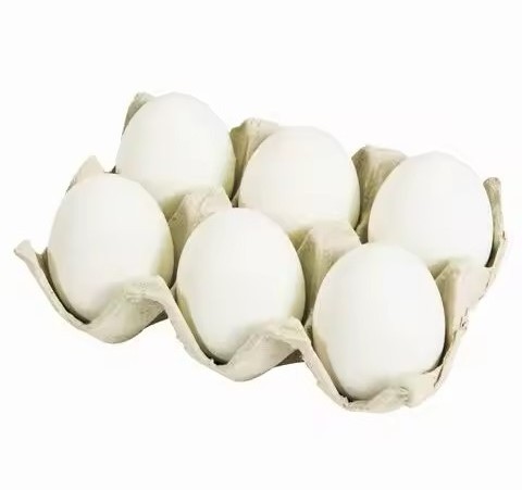 Farm Fresh Chicken Table Eggs Brown and White Fresh Brown White Table Eggs  Fresh Chicken Eggs