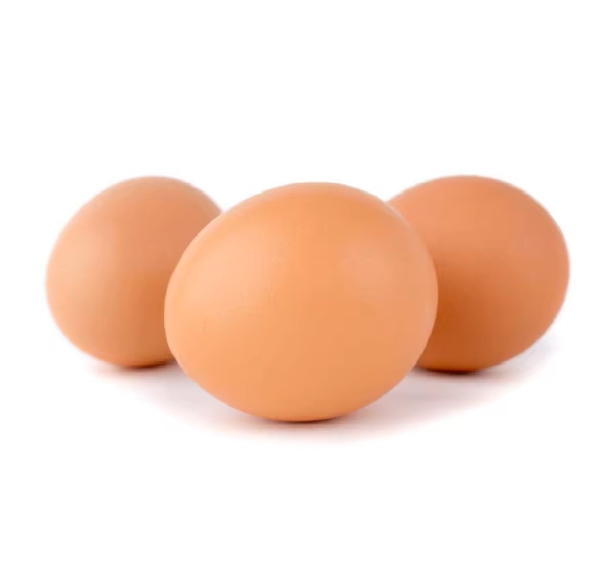 Agricultural Fresh Chicken Eggs  Fresh Farm Chicken Table Eggs Fresh Chicken eggs price per tray