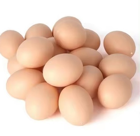 Best Quality Fresh Brown Table Chicken Eggs Cheap Fresh Chicken Table Eggs Fresh Chicken in bulk Brown Eggs from Brazil