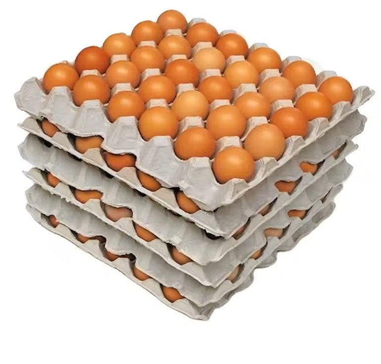 Fresh Chicken Table Eggs Brown and White Shell Chicken Eggs for sell cheap Chicken Table Eggs for sale