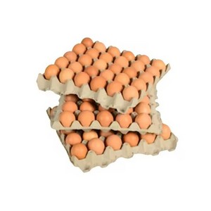 Fresh Brown White Table Eggs Fresh Chicken Eggs Best Rate Fresh Farm Chicken Eggs